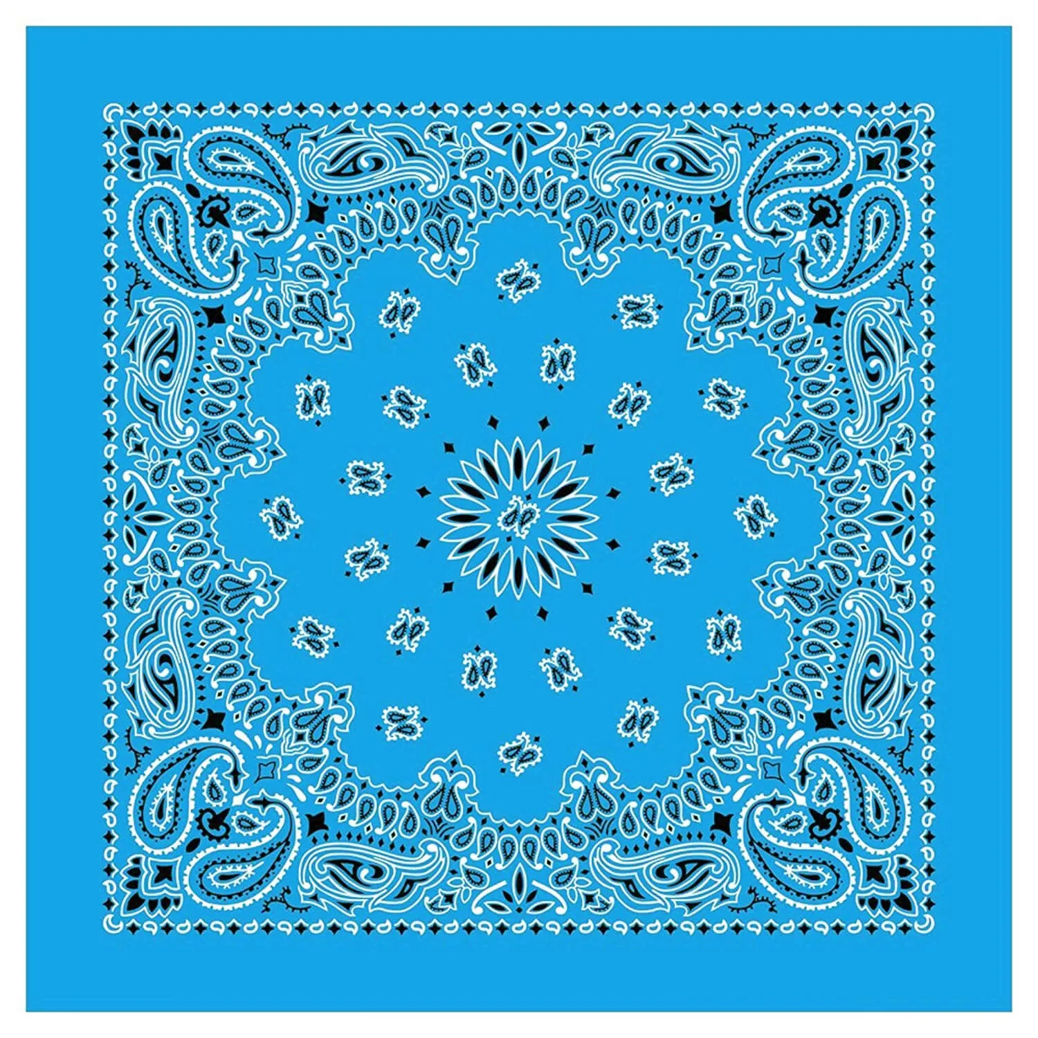 12 Piece Novelty Bandanas Paisley 100% Cotton Hearwear (22 inches x 22 inches)