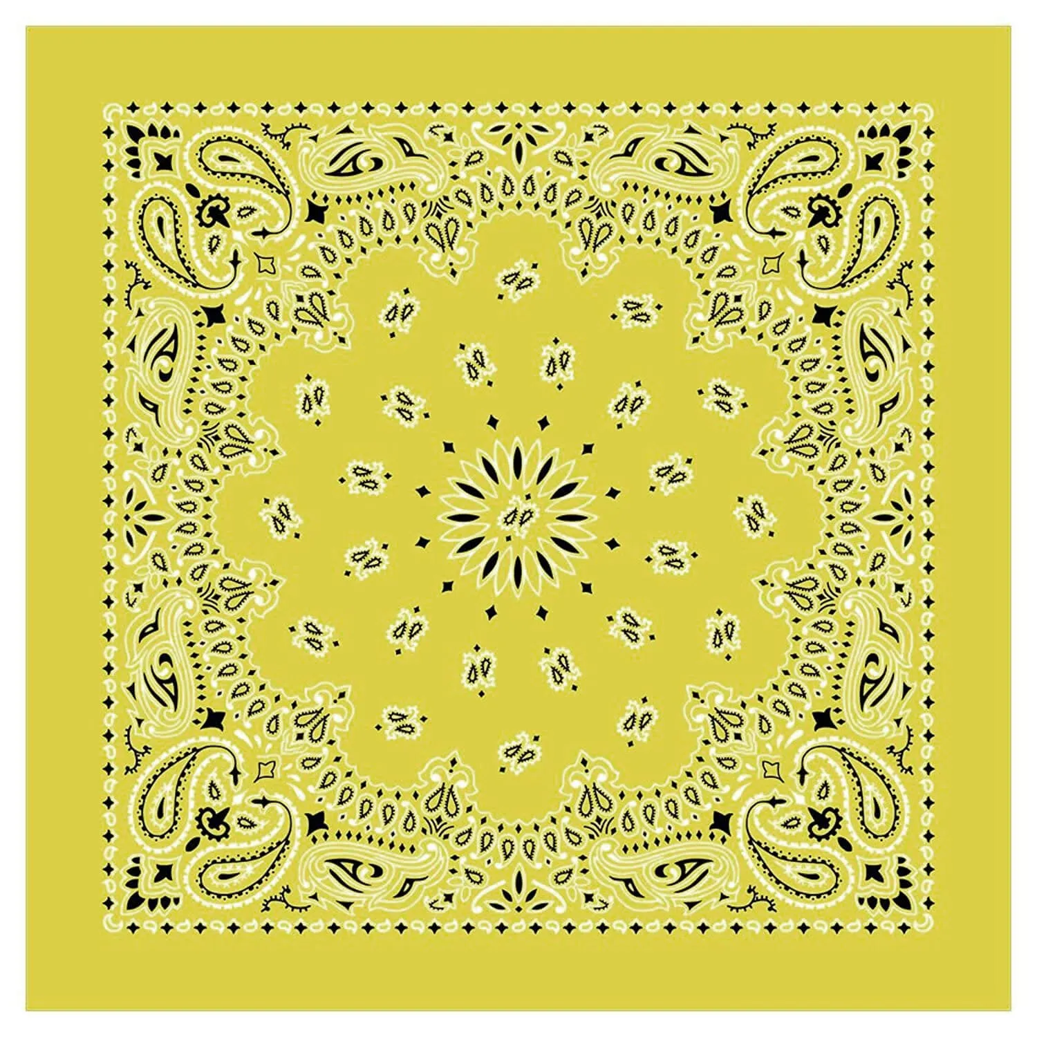 12 Piece Novelty Bandanas Paisley 100% Cotton Hearwear (22 inches x 22 inches)