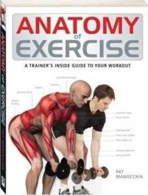 Anatomy Of Exercise