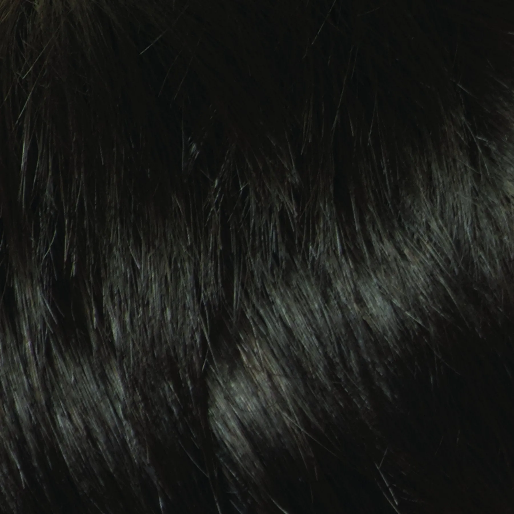 Fringe hairpiece