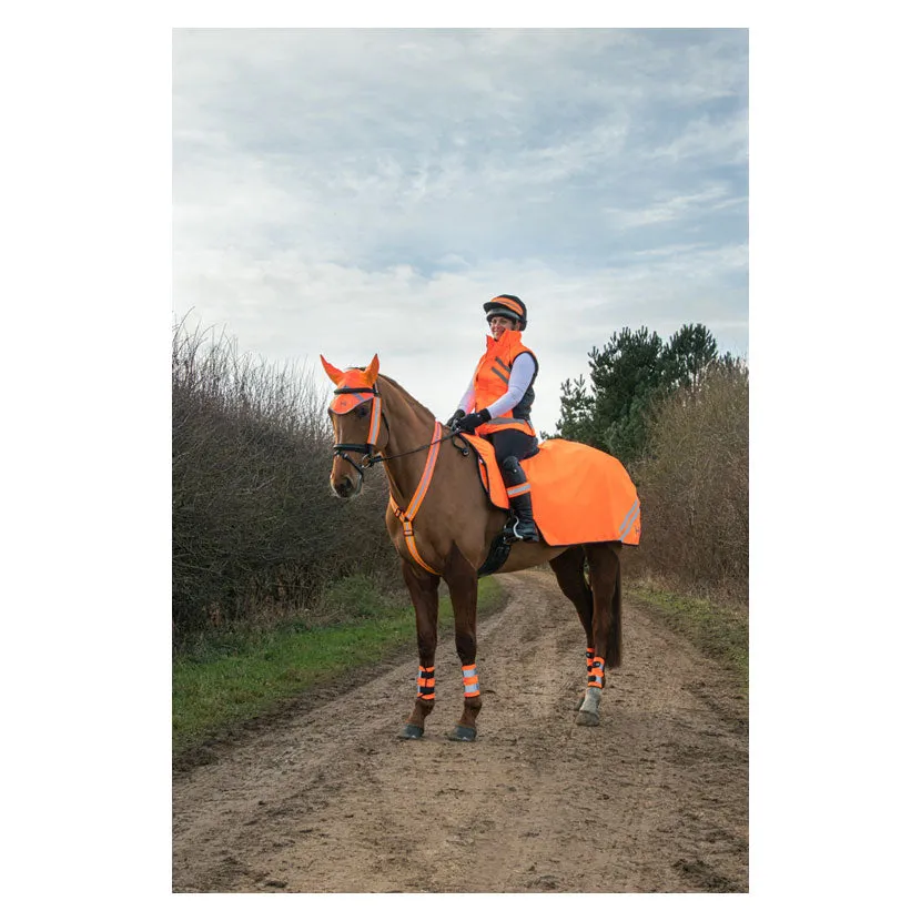 HyVIZ Reflector Exercise Sheet