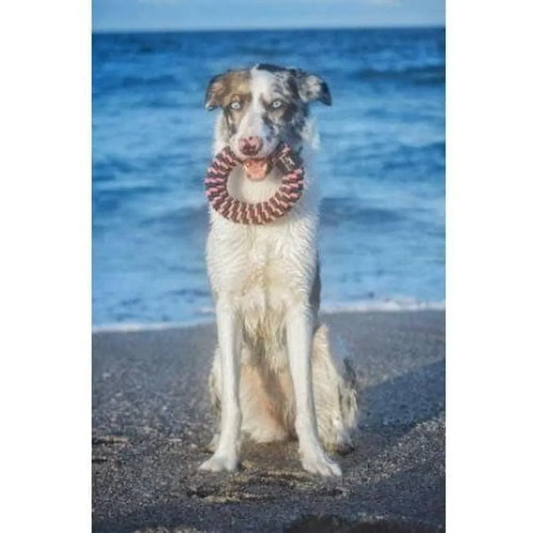 Tall Tails Pink Braided Ring Toy