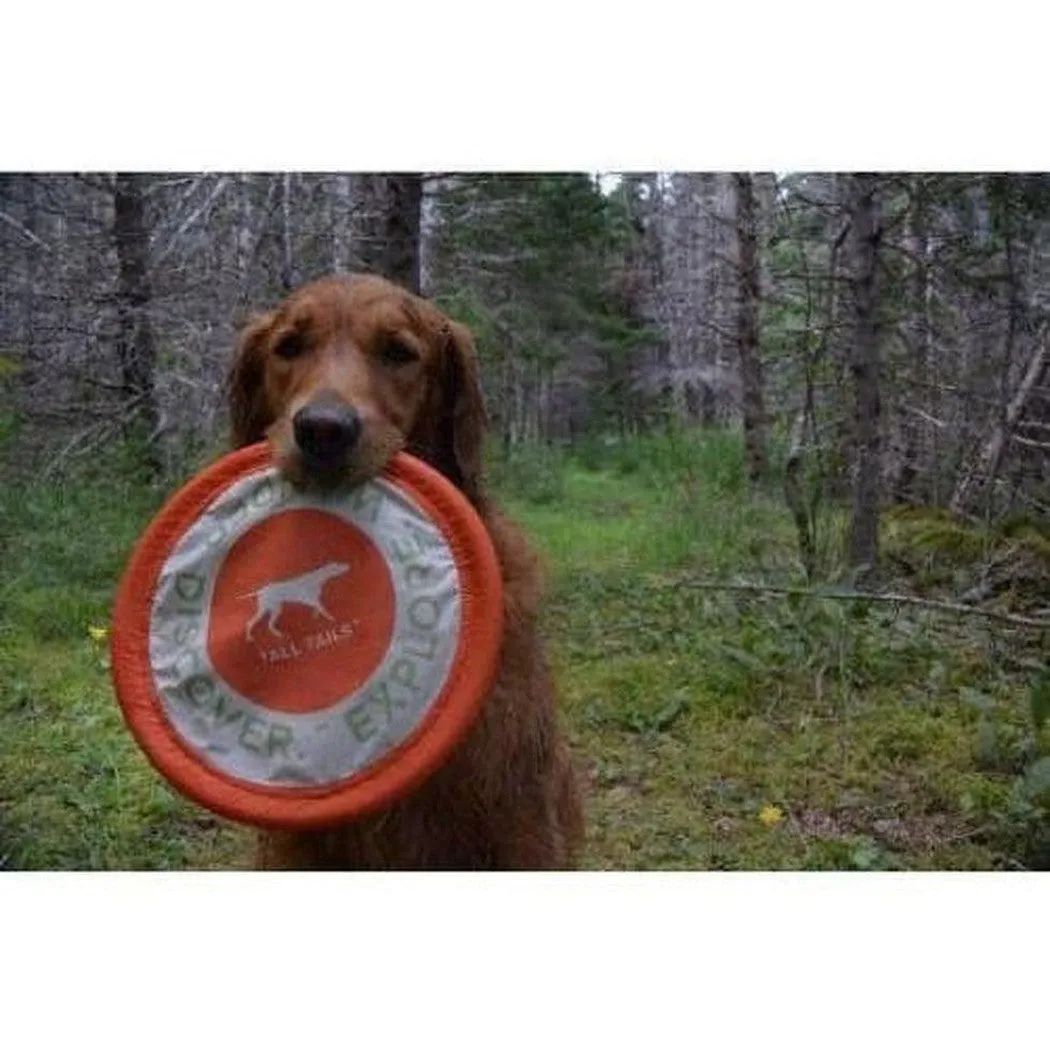 Tall Tails Soft Flying Disc